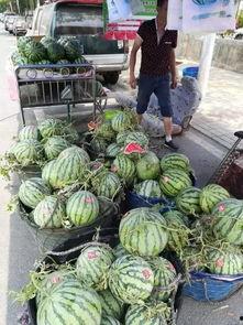 郯城吃瓜后续事件,真相大白，舆论反转