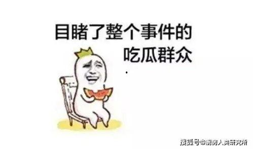 到底谁在吃瓜啊,谁在热议娱乐圈风云？