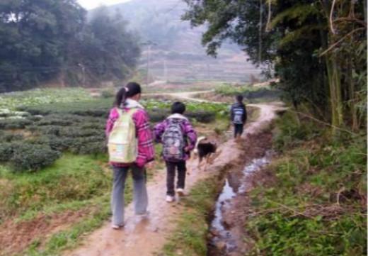 吃瓜广河县姐弟,揭秘背后真相