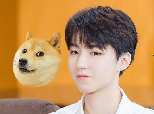 男生喜欢发吃瓜,揭秘男生热衷“吃瓜”背后的心理奥秘