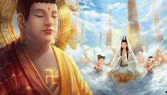 佛祖瓜怎么吃,探寻千年古法的现代演绎