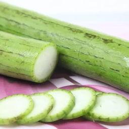 吃瓜虫怕什么,探寻它们避之不及的神秘因素