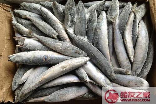 张青鱼吃瓜,揭秘娱乐圈的瓜田秘闻