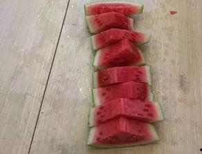 花式切瓜 吃瓜比赛,花式切瓜吃瓜比赛,技艺与速度的终极对决