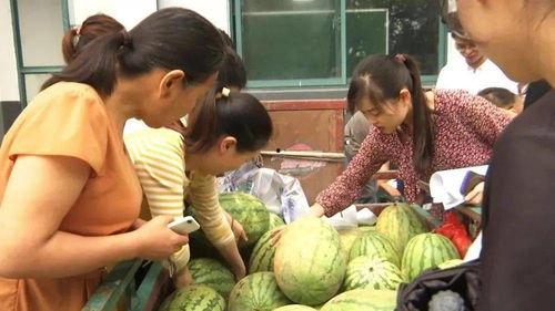 后厂村吃瓜群众